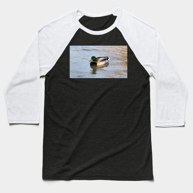 Another Male Mallard Duck Swimming Baseball T-Shirt by BackyardBirder